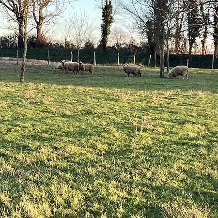Maison Proche Vendee Globe 6p Σπίτι διακοπών Sainte-Foy (Vendee)