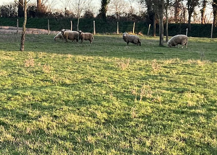 Maison Proche Vendee Globe 6p Casa de Férias Sainte-Foy (Vendee)