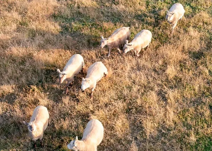 Maison Proche Vendee Globe 6p Casa de Férias *